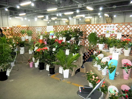 2012-faj_1.jpg